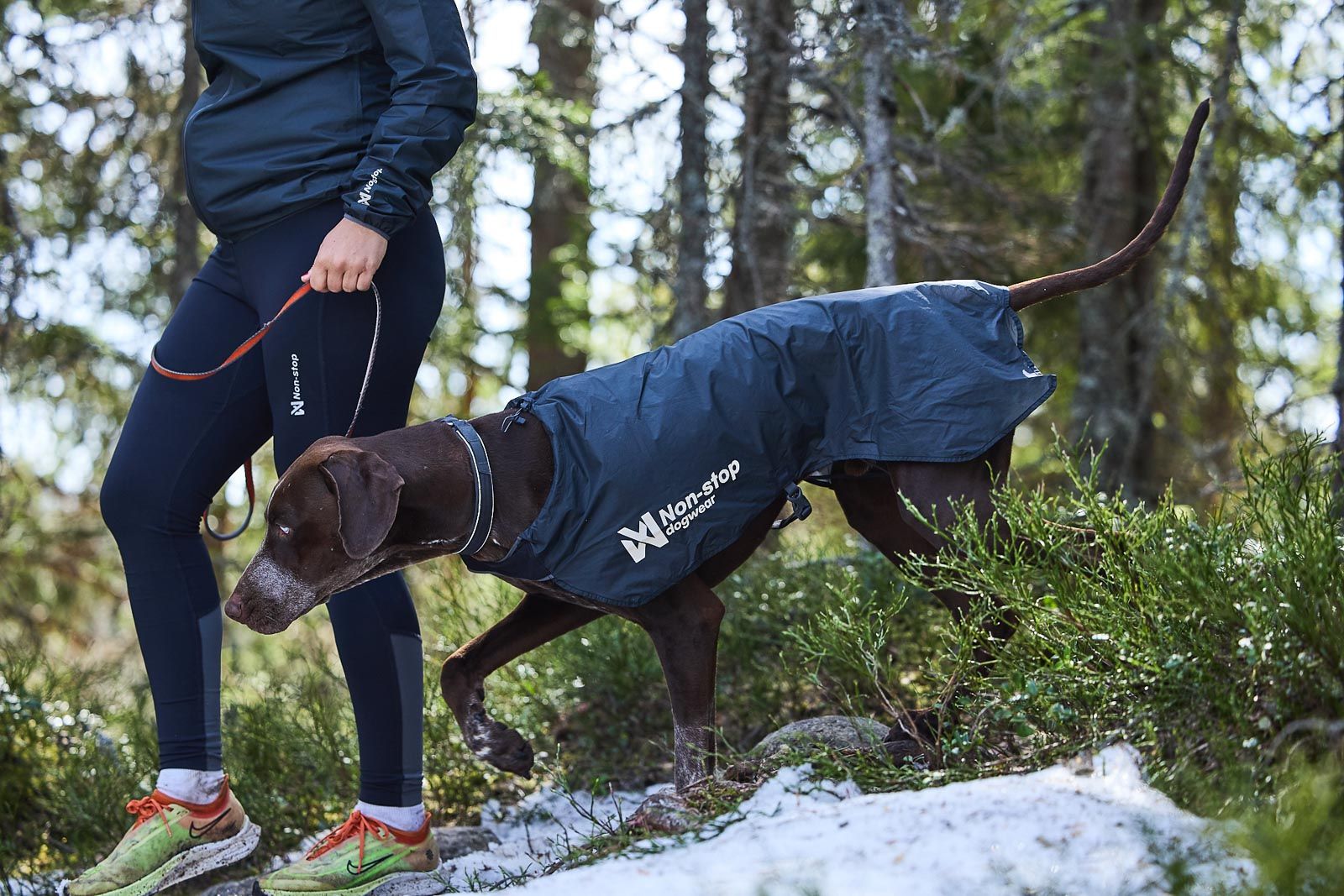 Veste coupe-vent NON-STOP DOGWEAR Trail light dog jacket – Image 7