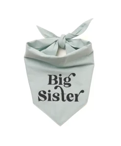 Alternative view of Bandana THE PAWS Big Sister
